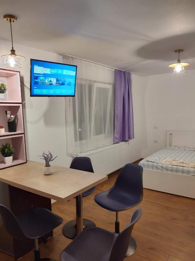 Apartamento Garsoniera Dania&Petru 1 Tîrgu Ocna Exterior foto